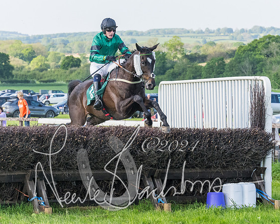 Race 7 - Veteran Horse (148 of 246)