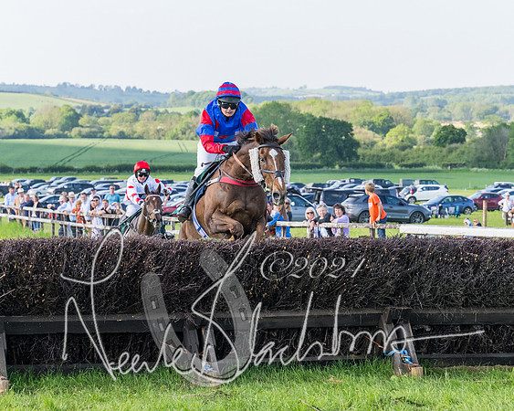 Race 7 - Veteran Horse (123 of 246)