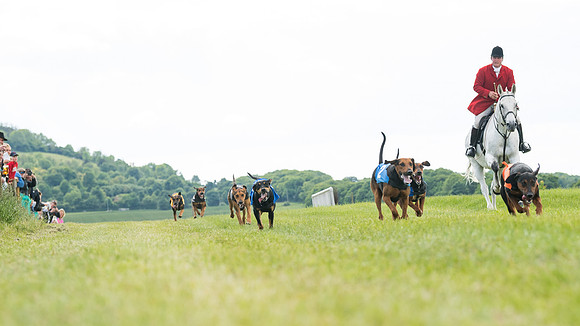 Hound Race  (31 of 49)