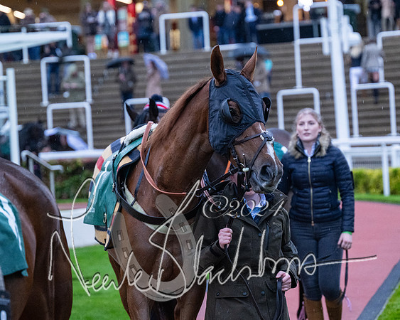 Race 7 - Glos Hussars (13 of 220)