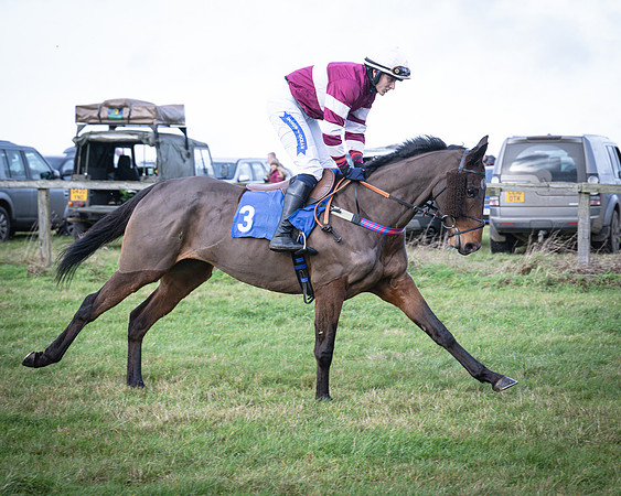 Race 2 - Maiden (34 of 145)