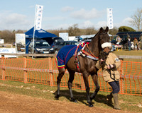 Race 1 - 4-5-6 Maiden (19 of 119).jpg