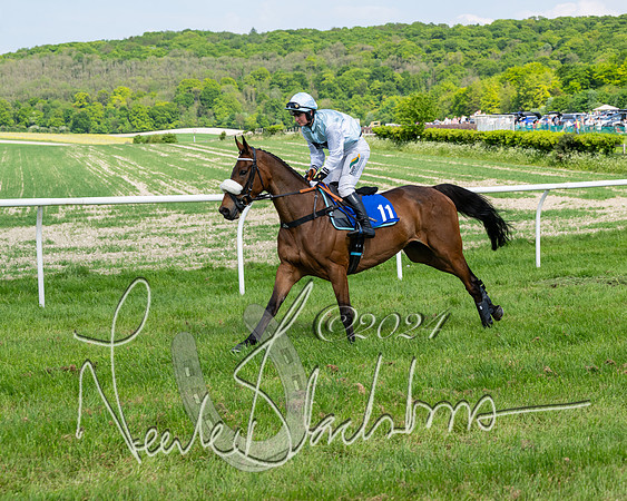 Race 3 - Ladies Open  (59 of 133)