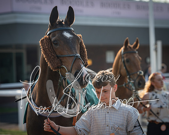 Race 2 - The Venatour sports travel intermediate point to point hunters’ steeplechase 5 year olds and over 3m2f (9 of 163)