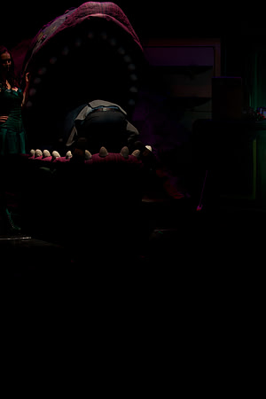 LSOH Act 2 - 67