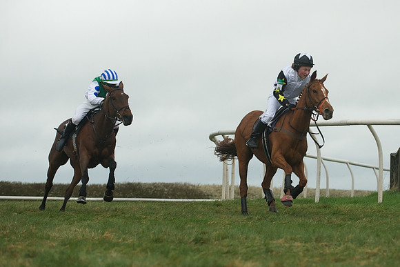 Race 8 - Pony Race 2 -  25