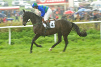 Old Berks at Lockinge PPORA novice and veteran riders race