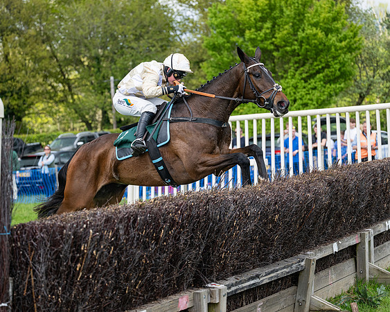Race 5  - Maiden  (61 of 84)