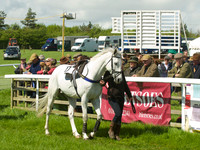 Race 2 - Open Maiden  18