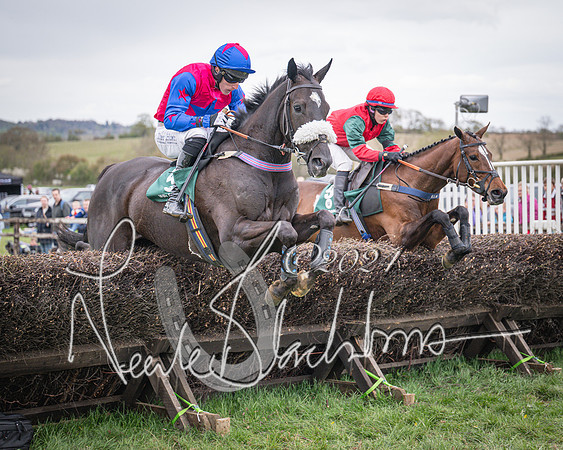 Race 6 - The Restricted Race (55 of 101)
