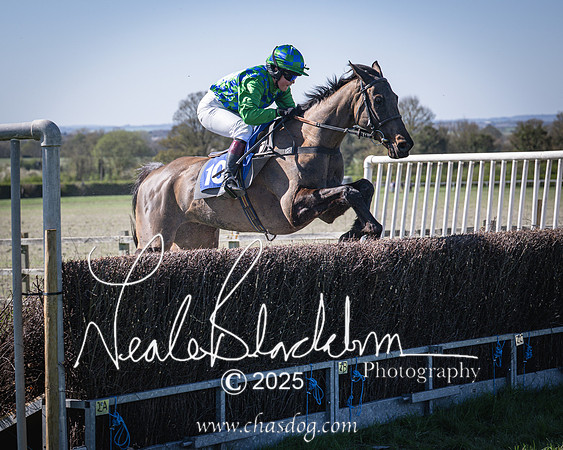 Race 5 - The restricted (93 of 113)