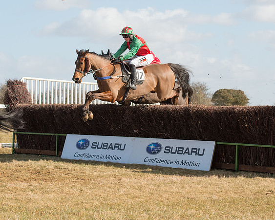 Race 1 - 4-5-6 Maiden (71 of 119).jpg
