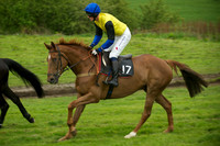 Race 7 - 2m4f Maiden 9
