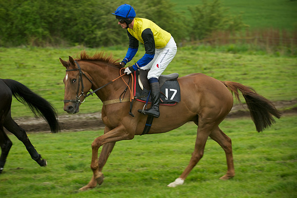 Race 7 - 2m4f Maiden 9