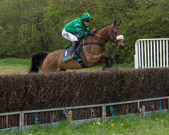 Race 3 - Warwickshire Hunt Members (11 of 65)