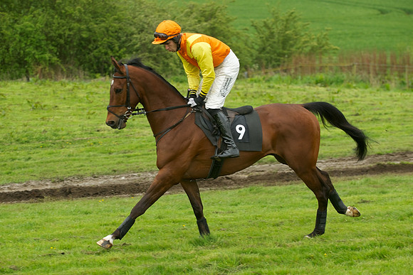Race 7 - 2m4f Maiden 24