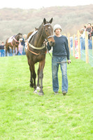 Race 4 - Nov-vets 11