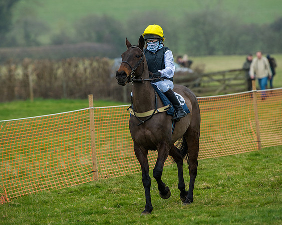 Pony Race 3 (8 of 67)