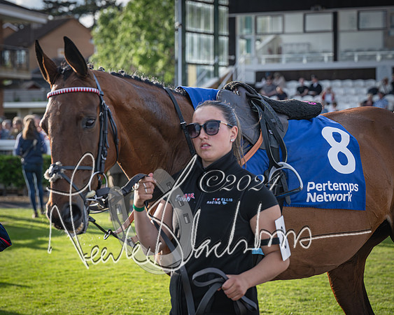 Race 4 - Peretemps Stratford Foxhunters (7 of 168)