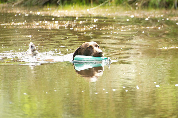 WCGB-04AUG-2013 Water Training Day 75
