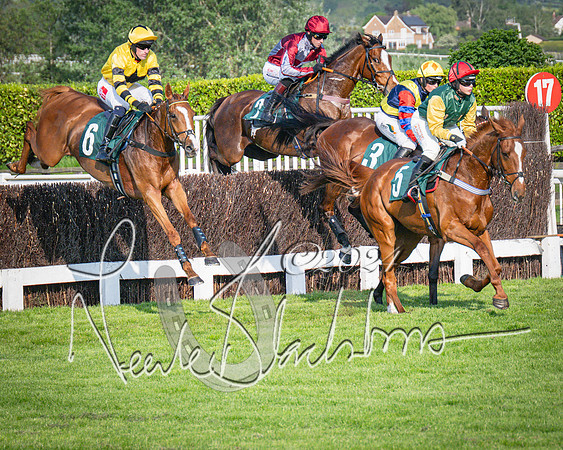 Race 3 - The Junior Jumpers open hunter's steeple chase 3m1f56y (54 of 156)