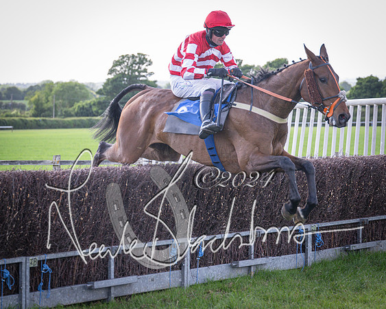 Race 6 - Thorn Plant Hire Maiden Race (93 of 129)