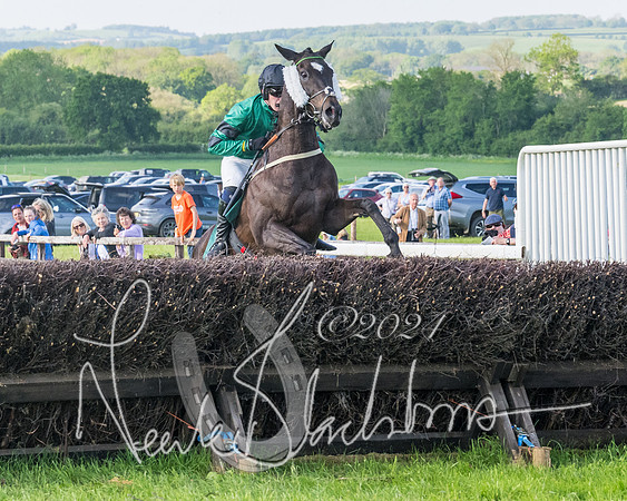Race 7 - Veteran Horse (145 of 246)