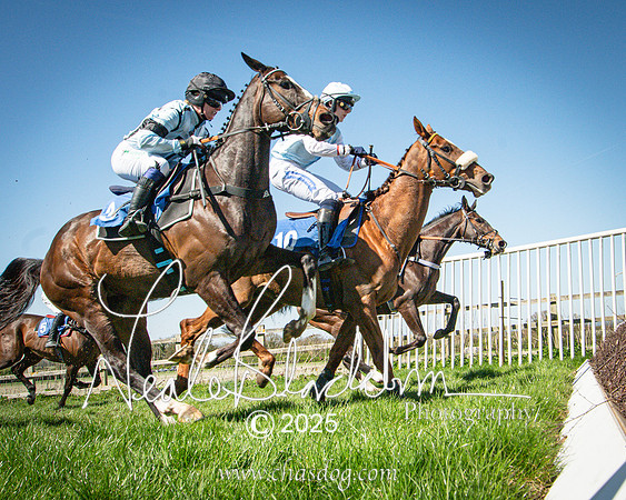 Race 2 - The Maiden (67 of 118)