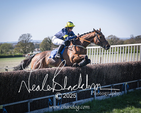 Race 5 - The restricted (81 of 113)