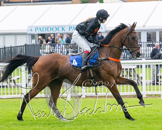 Race 2 - Ladies Open Final (23 of 94)