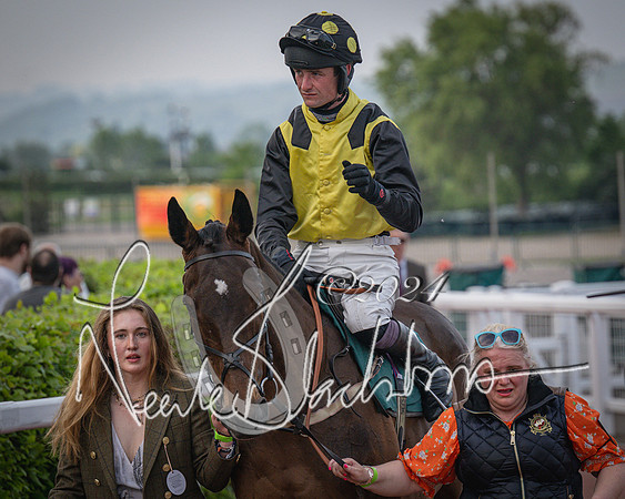 Race 5 - Mares Open Hunter Steeplechase 3m2f 70y (25 of 269)