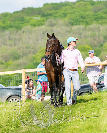 Race 5  - Maiden race 2m5F Div-2 (7 of 205)