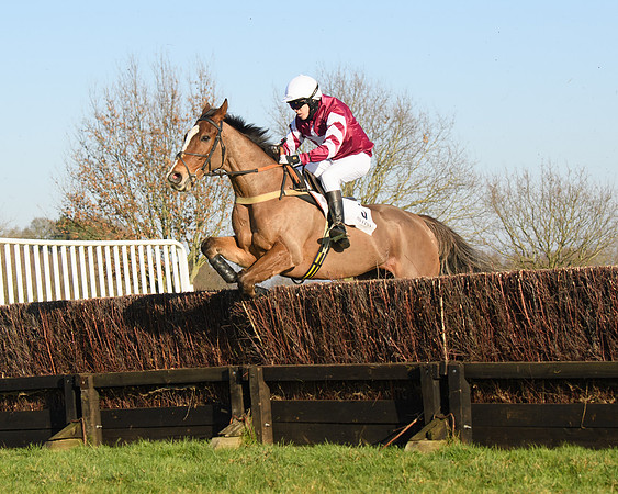 Race 2 - PPORA Novice Riders  (142 of 205)