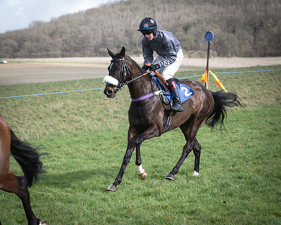 Race 1 - Four and Five year Old Maiden (58 of 137)