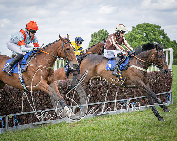 Race 1 - The owner-trainer Conditions race (42 of 118)
