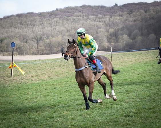 Race 1 - Four and Five year Old Maiden (61 of 137)