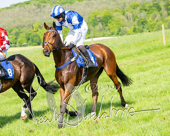 Race 5  - Maiden race 2m5F Div-1 (118 of 197)