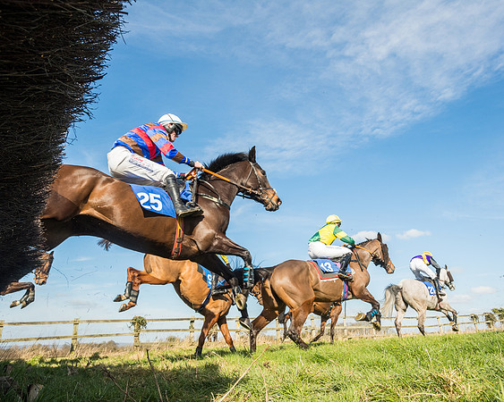 Race 1 - Open Maiden Division 2 (75 of 173)