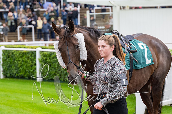 Race 3 - Junior jumpers (3 of 180)