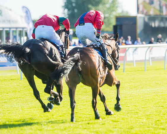 Race 3 - John Corbet Cup (61 of 88)