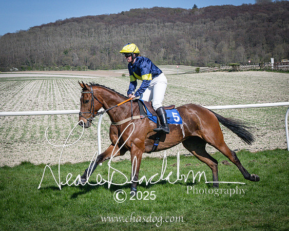 Race 5 - The restricted (29 of 113)