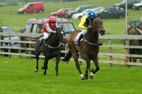 Ponies - 18