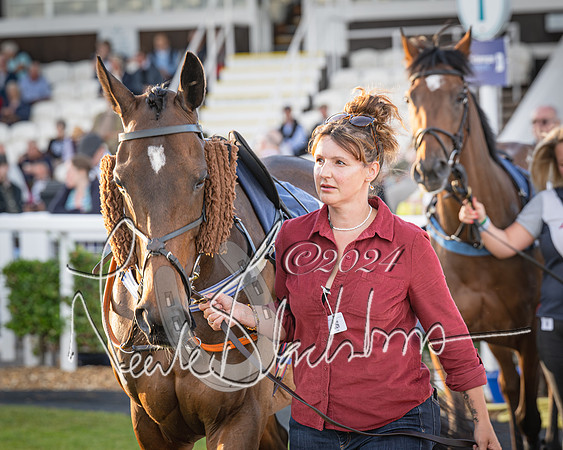 Race 5 - tipsterreviews.co.uk handicap (2 of 107)