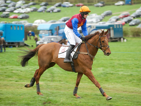 Race 6 - Maiden  17