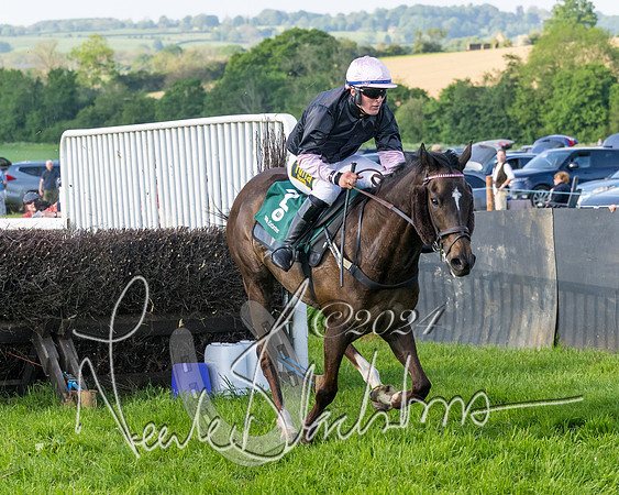 Race 7 - Veteran Horse (166 of 246)