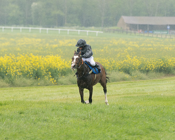 Pony Race 2 (42 of 113)