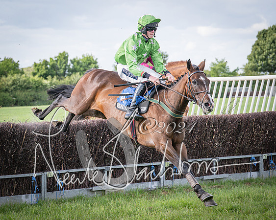 Race 6 - Thorn Plant Hire Maiden Race (74 of 129)