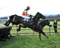 TVRC - Young Horse Maiden Division 2
