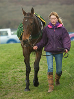 Southern Grand National  9