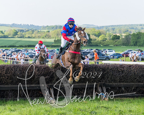 Race 7 - Veteran Horse (125 of 246)
